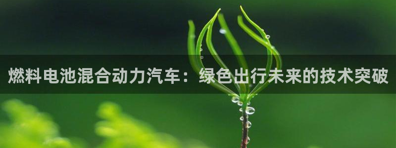 优发国际是不是黑网