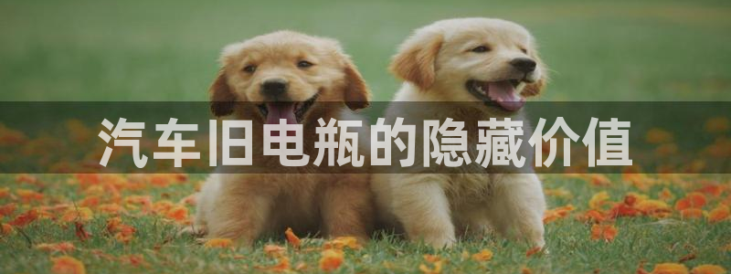 优发国际手机版唯一官网是什么