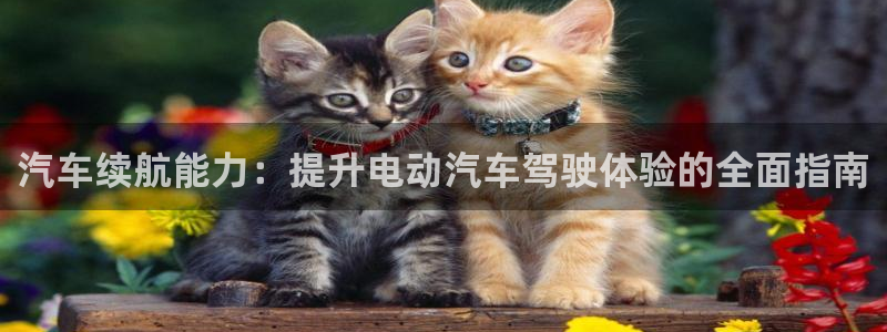 优发国际