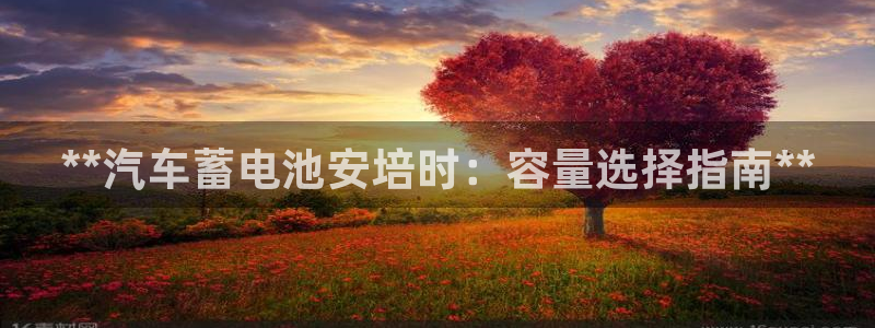 优发国际集团股份有限公司招聘