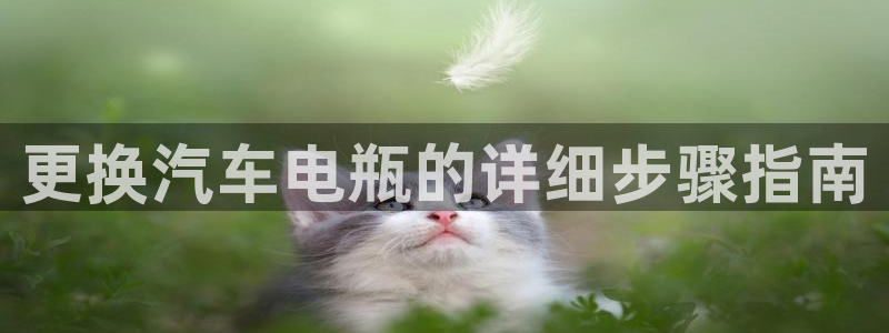 优发国际手机版官网入口