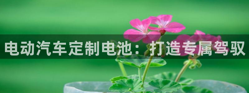 优发国际官网手机号