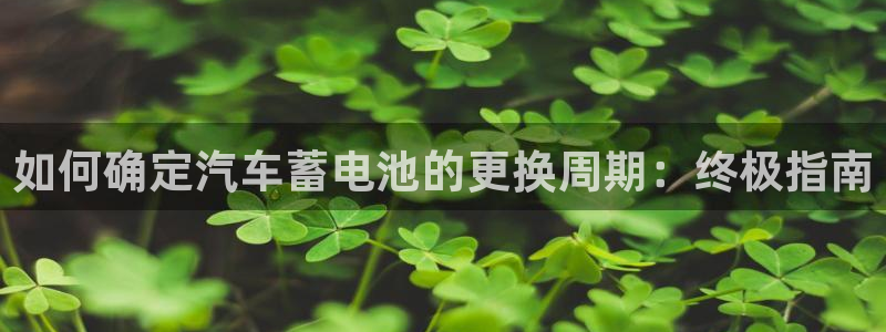 优发国际随优而动一触即发