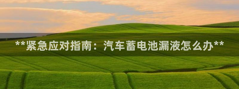 优发国际平台手机版下载