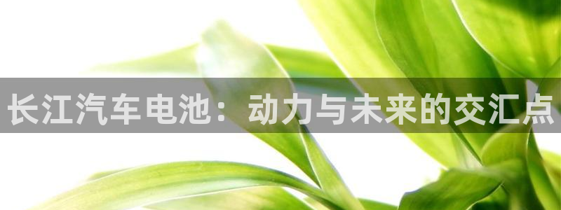 优发国际手机版客户端