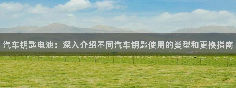 优发国际是什么