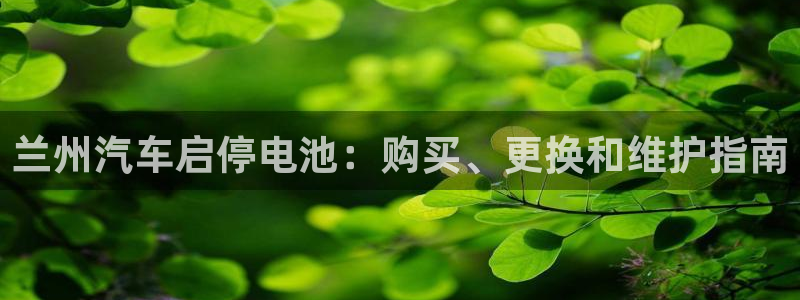 优发国际手机app下载安装最新版
