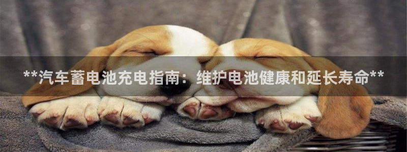 优发国际手机客户端下载安卓