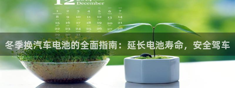 优发国际安卓版下载安装教程
