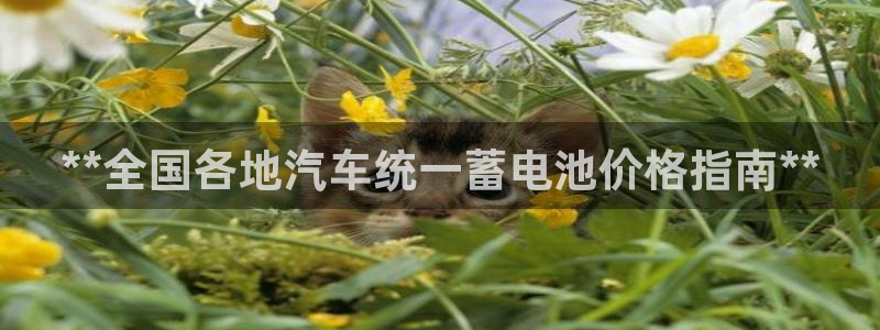 优发国际平台u8是什么公司