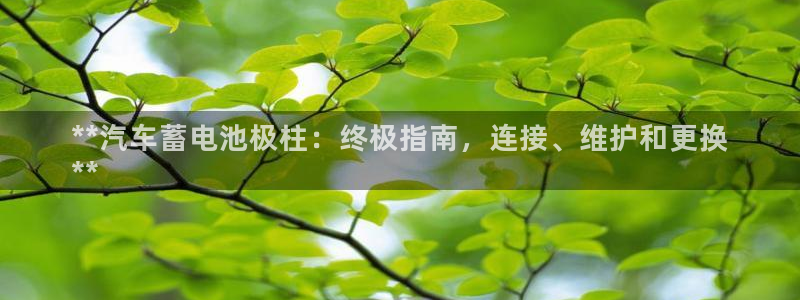 优发国际平台u8