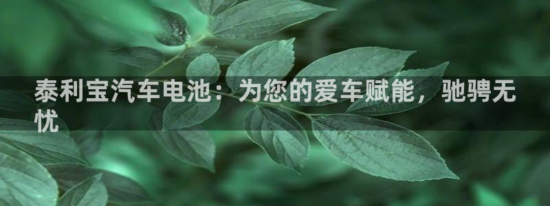 优发国际是什么