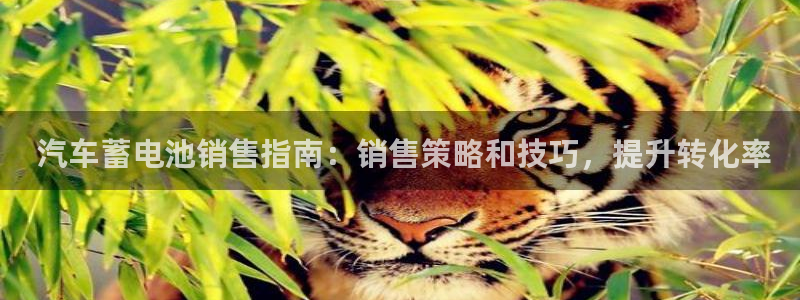 优发国际手机客户端下载