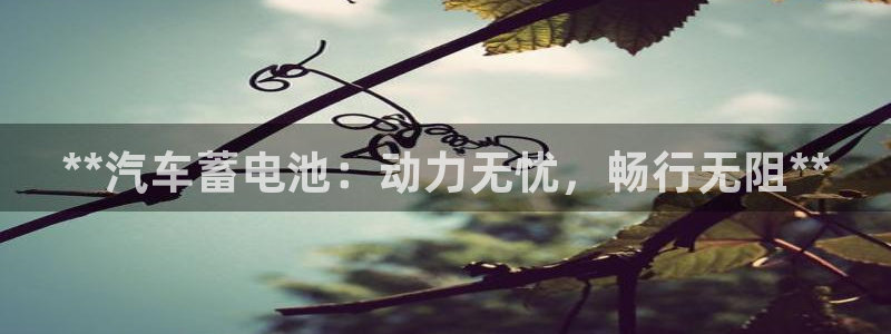 优发国际官网入口app下载苹果