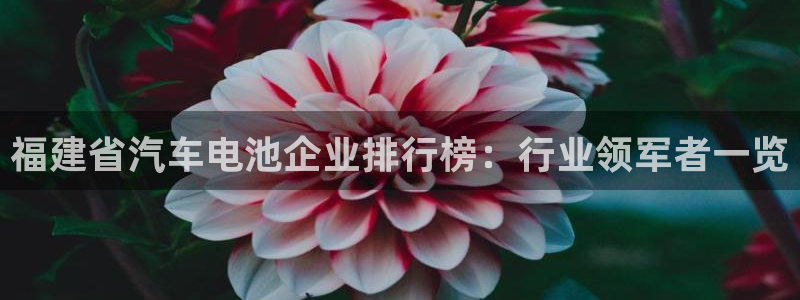 优发国际官网手机号
