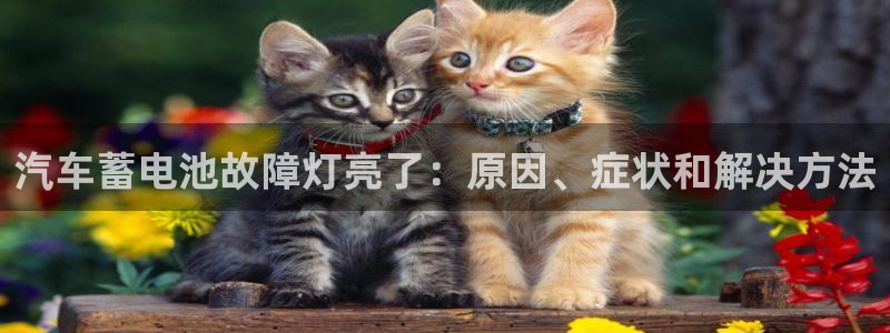 优发国际这个平台怎么样可靠吗