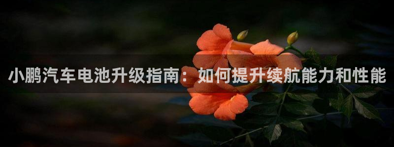 优发国际是合法的吗安全吗