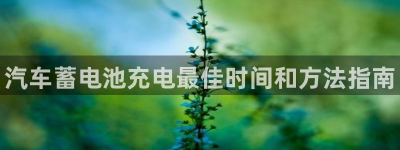 优发国际官方网手机版下载