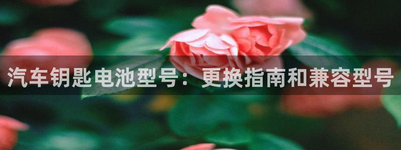 优发国际手机版客户端下载