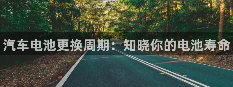 优发国际合并到哪里了