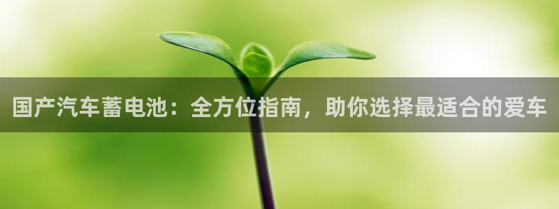 优发国际集团股份有限公司官网
