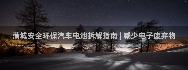 优发国际是大平台吗