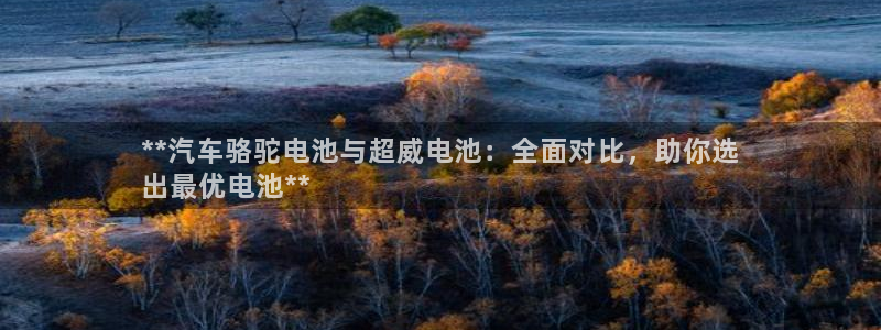 优发国际是大平台吗是真的吗