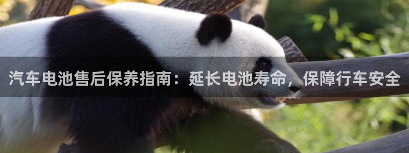 优发国际客服联系方式查询