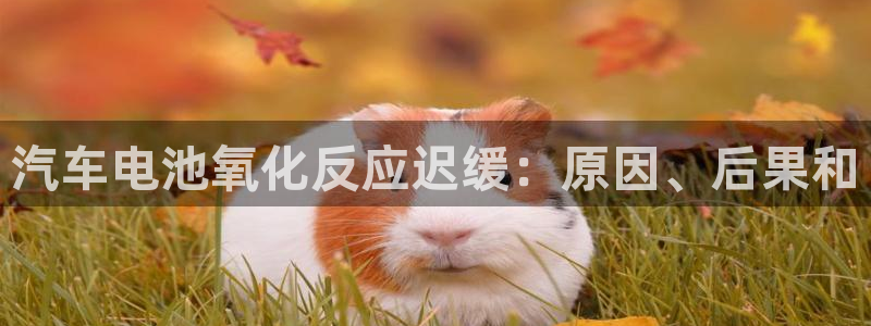 优发国际网官