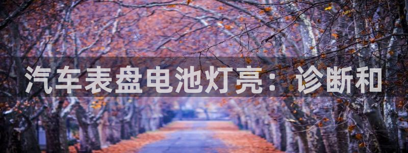 优发国际网官网17w8