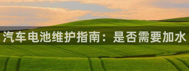 优发国际官网手机版代理