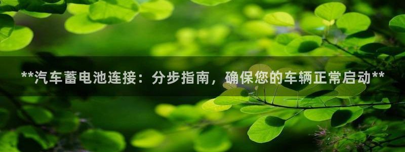 优发国际手机app下载安装官网