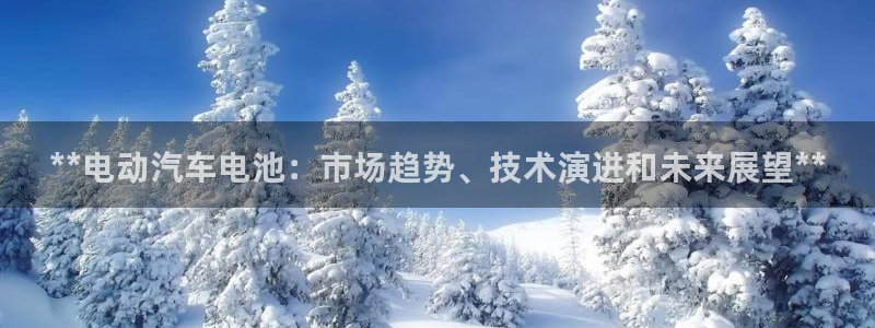 优发国际的官网是什么