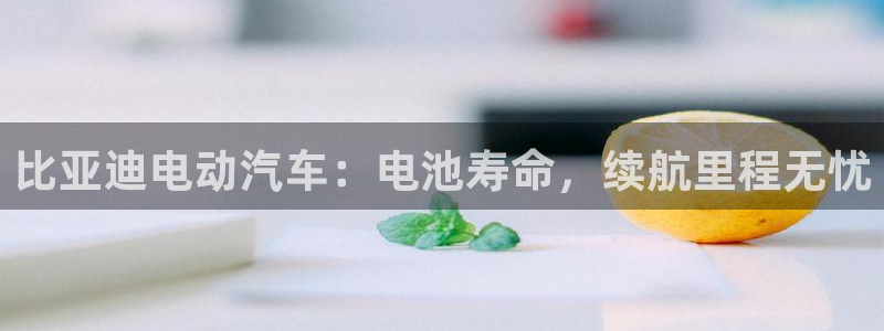 优发国际手机版网站