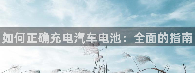 优发国际的网站是