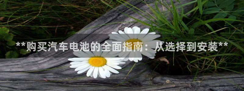 优发国际手机app下载地址