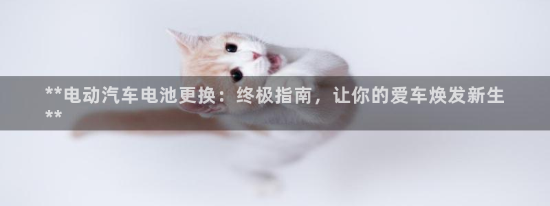 优发国际平台app下载