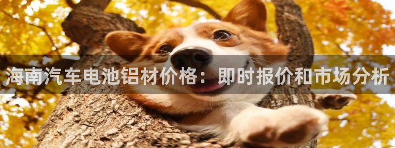 优发国际app官网下载安装苹果手机