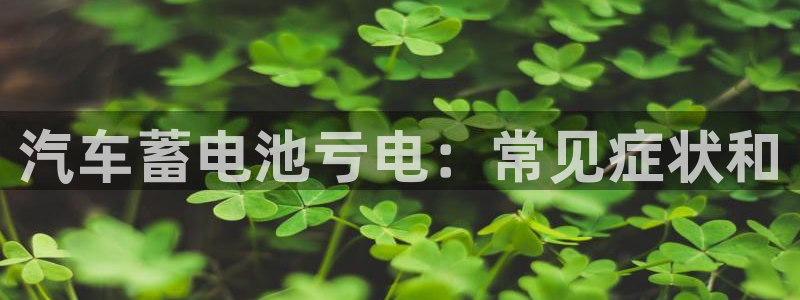 优发国际顶级