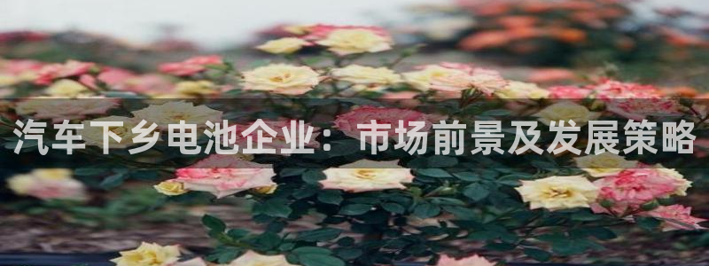 优发国际手机客户端下载安卓
