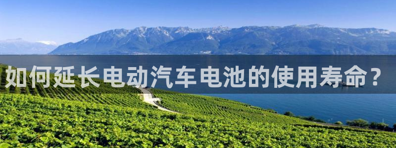 优发国际官网手
