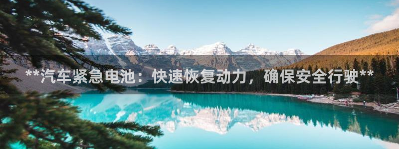 优发国际合并到哪里了啊