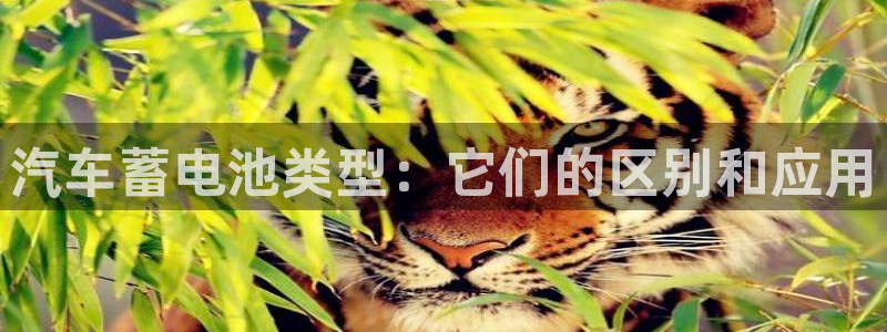 优发国际下载