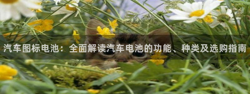 优发国际官网网站入口