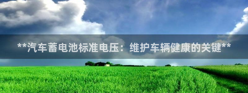 优发国际平台g80