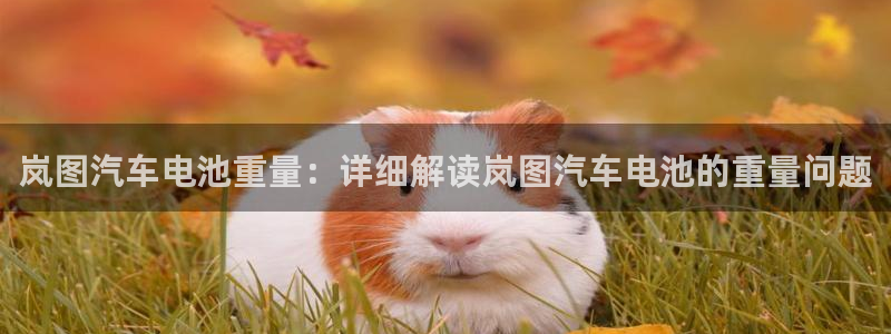 优发国际官网首页