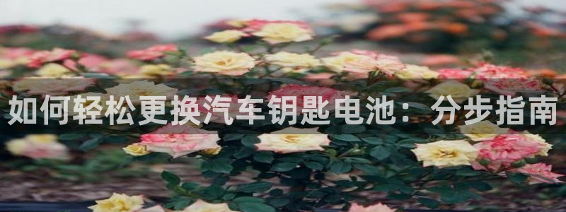 优发国际顶级
