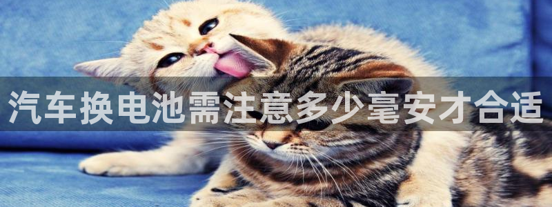 优发国际官网手机号