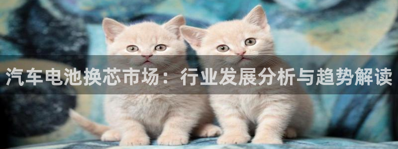 优发国际官方网手机版入口