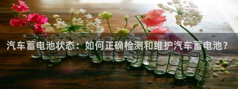 优发国际官网,首页